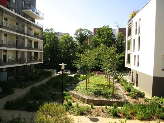 T4 – Parc de la Robiquette - Photo 1