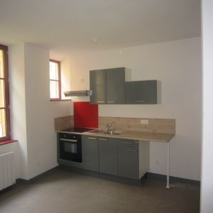 Location Appartement 1 pièce 35m² CHARLIEU 42190 - Photo 2