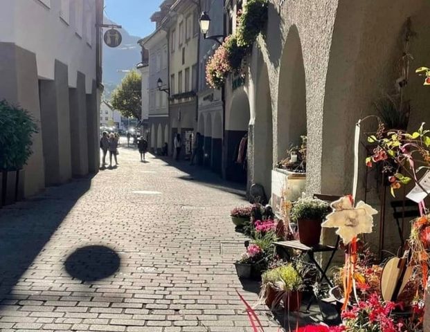 Schönes Apartment im Herzen der Alpenstadt Bludenz - Foto 1