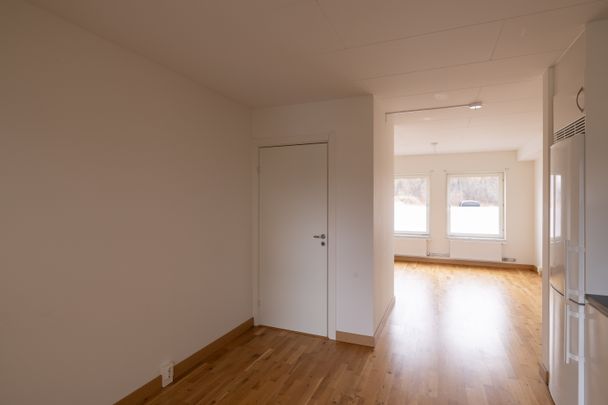 Johan Skyttes Väg 4 - Photo 1