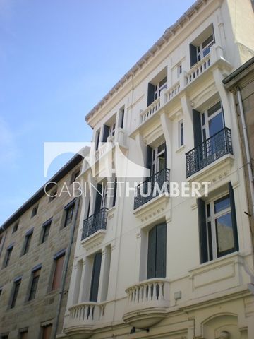 Location Appartement 1 pièce 40m² ST ETIENNE 42000 - Photo 5