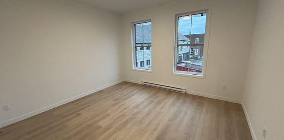 MAGNIFIQUE 5 1/2 - 1er JUILLET - TRIPLEX - 2 STATIONNEMENTS - Photo 2