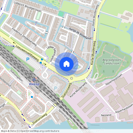 Leeuwenveld, 1382 MN, Anna Horstinkstraat, Weesp