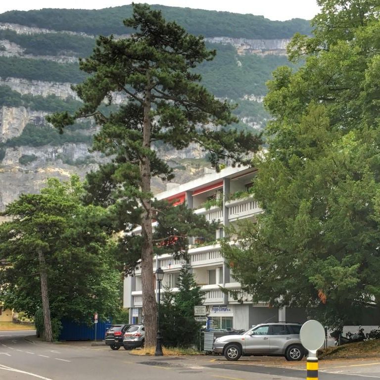 Charmant appartement de 2 pièces au 1er étage - Foto 2