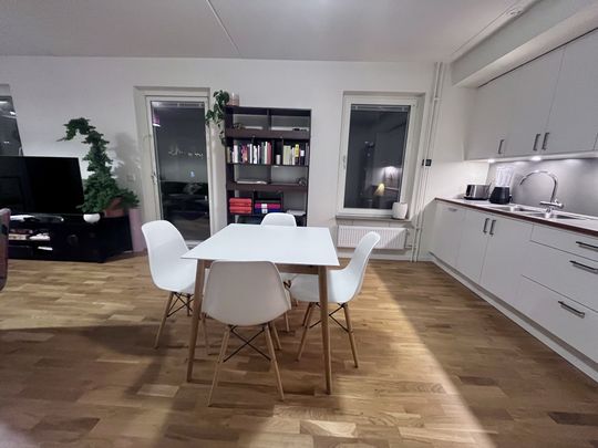 Gaffelseglet, Vega - Photo 1