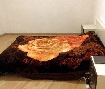 2 Zimmer-Wohnung in Bern - Felsenau/Tiefenau, möbliert, auf Zeit - Photo 5