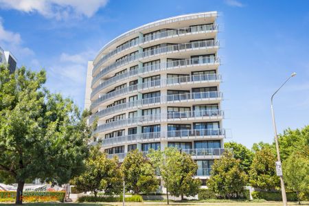 18/1 Mouat Street, Lyneham ACT 2602 - Apartment For Rent | Domain - Photo 4