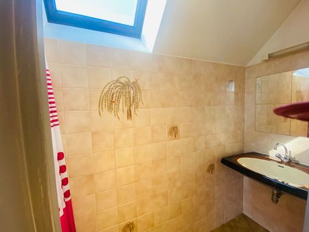 Location maison 3 pièces, 57.00m², Saint-Georges-sur-Cher - Photo 5