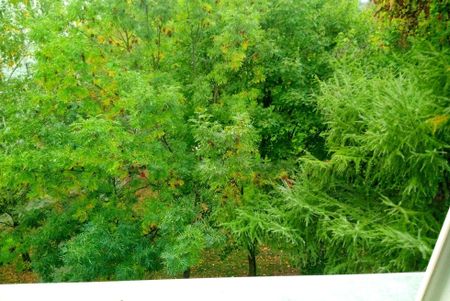 Pokój, ul. Kasztelańska - Фото 4