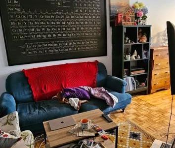 Plateau Mont-Royal - Grand appartement 3 ½ - Photo 2