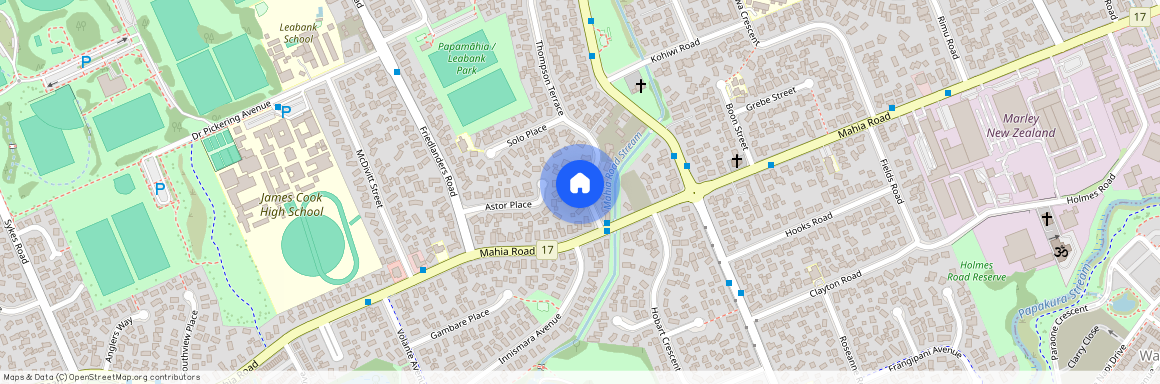 91 Thompson Terrace, Manukau City, Manurewa
