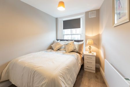 Clanbrassil Street Lower, Portobello, Dublin 8 - Photo 4