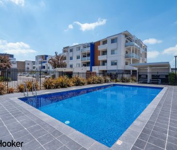 Simple Living in the Center of Molonglo - Photo 5