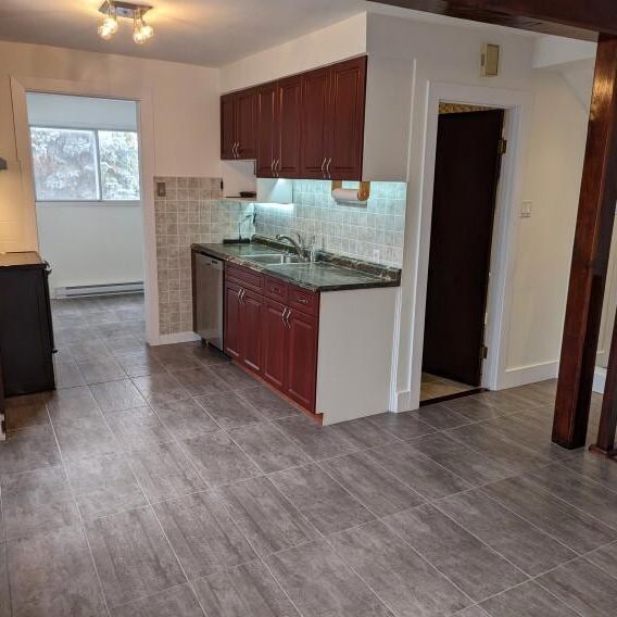 Appartement Sur 2 Niveaux-VieuxAhuntsic! - Photo 1