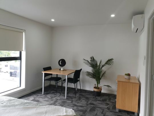 One Bedroom Furnished Apartment - Photo 1