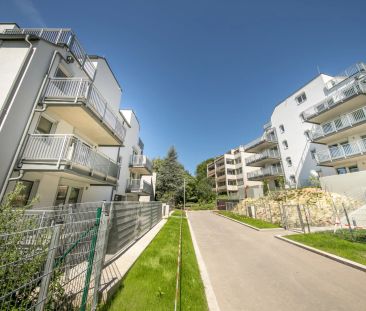2 ZIMMER-GARTENMIETE - Photo 3