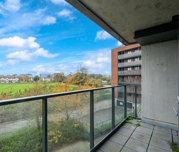 Weavers Hall, Levmoss Park, Leopardstown, Dublin 18, D18 Y5V0 - Photo 1