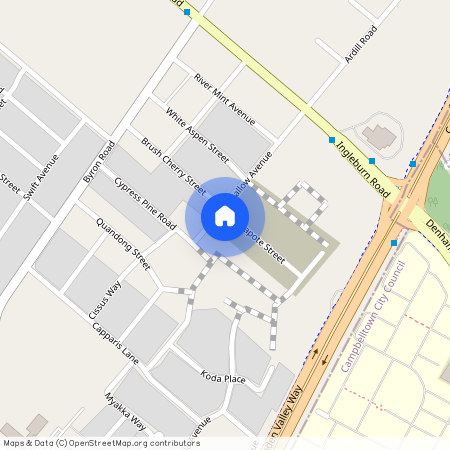 4 Capote Street, NSW 2179, Leppington