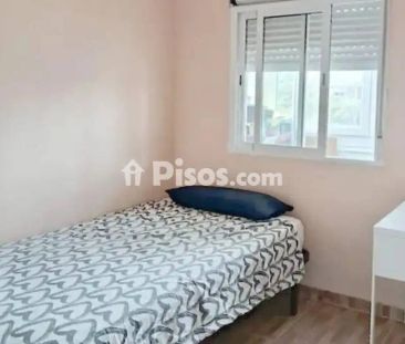 Piso en alquiler en Haygon-Universidad - Photo 4