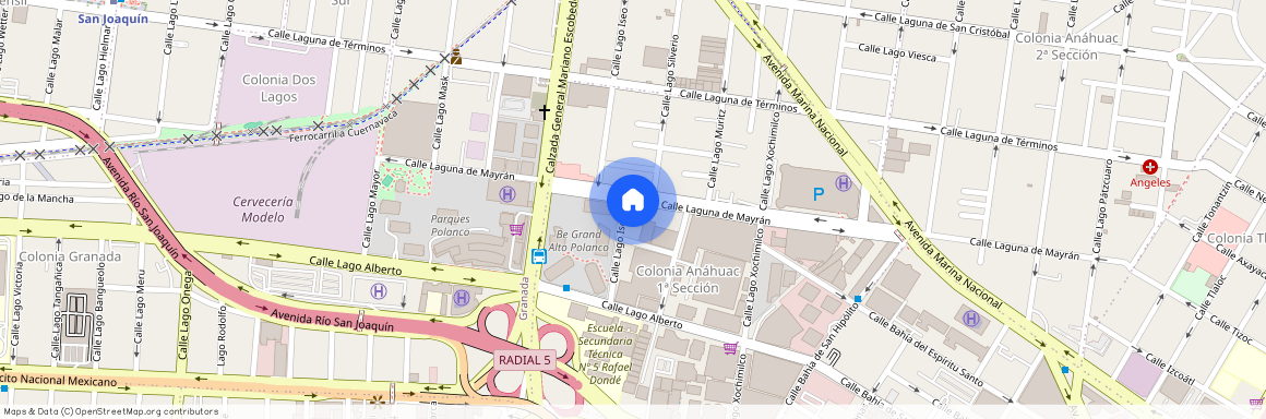 Calle Laguna de Mayrán, Anahuác 1ª Sección, Polanco, Ciudad de México, Miguel Hidalgo, Ciudad de México, 11320, México