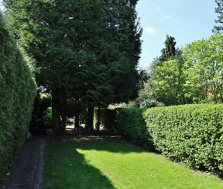 Maison - à louer - Foto 5