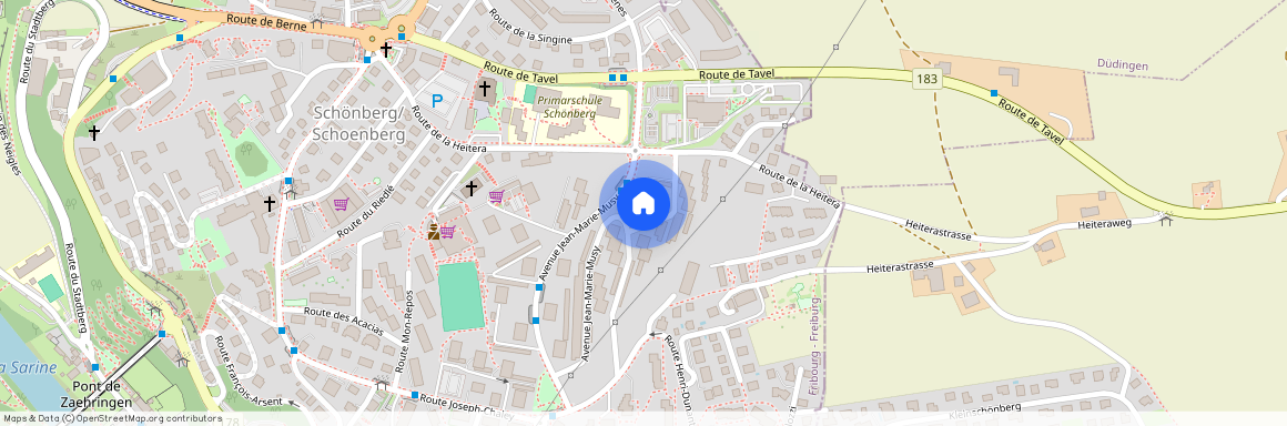 Avenue Jean-Marie-Musy 20, 1700 Fribourg