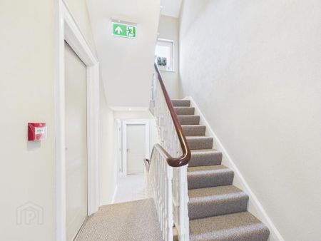 Room 7 The Ashley Collection, Ashley Avenue, Belfast, BT9 7BT - Photo 4