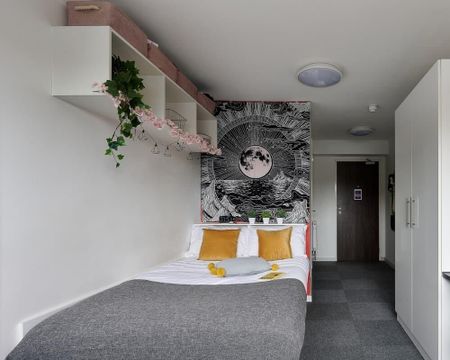 1 bedroom in a flat share to rent - Photo 5