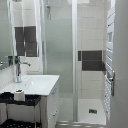 Location Appartement 1 pièce 20m² - Photo 4