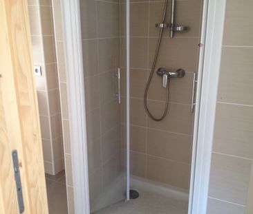 Location Appartement 1 pièce 30m² SALLANCHES 74700 - Photo 3
