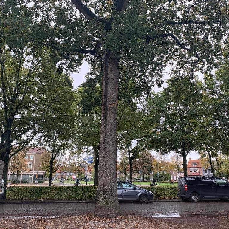 Te huur: Appartement Mastbosstraat in Breda - Photo 1