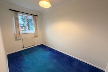 Blackthorn - Photo 4