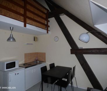 Location Appartement 1 pièce 19m² RENNES 35000 - Photo 3