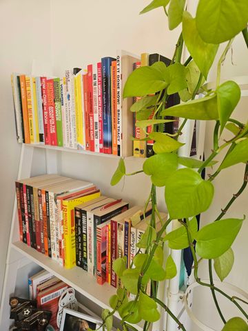 Airport West - Photo 3