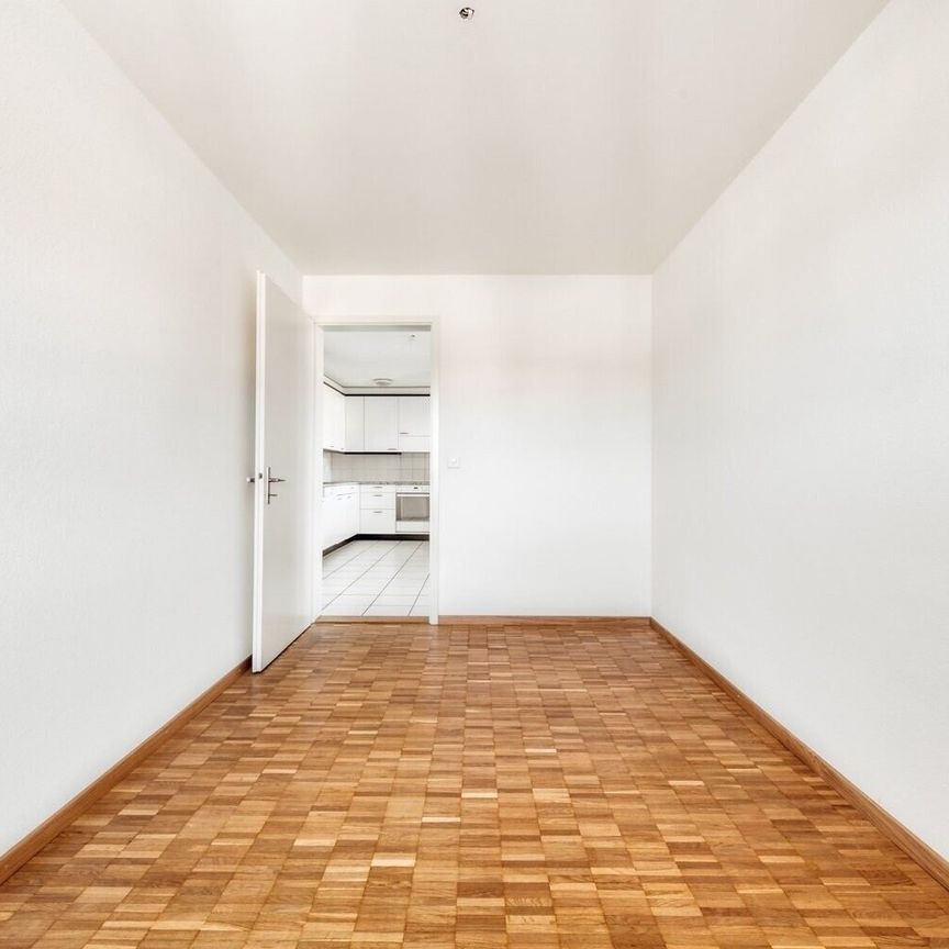 Living next to the Schüssinsel - Vivre près de l'île de la Suze - Foto 1