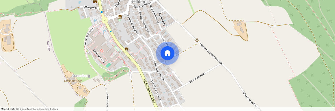 Haldenstrasse 30, 5454 Bellikon