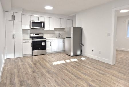 2715 201 St, Langley (Basement 1) - Photo 5