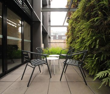 STUDIO/12-14 Belmore Road, Randwick NSW 2031 - Studio For Rent | Do... - Photo 2