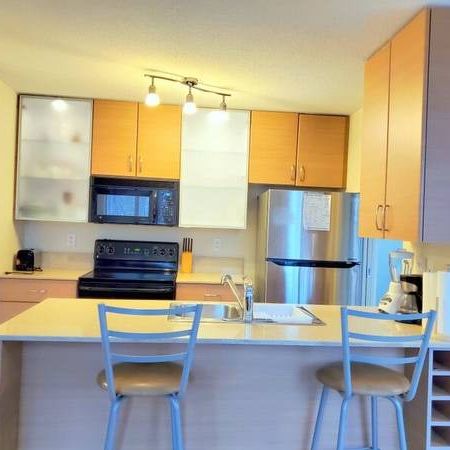 Spacious Furnished 1 Bedroom Condo for Rent in Yaletown #864 - Photo 3