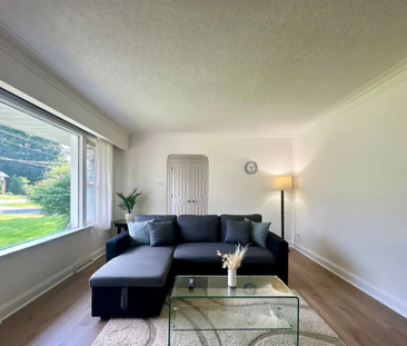 For Lease - 38 Lake Avenue, Richmond Hill, Ontario - Photo 4