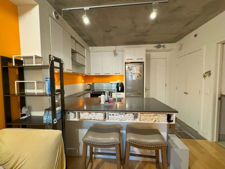 Rue Chomedey, H3H 0A2, Montréal - Photo 4