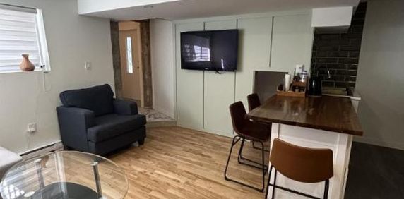 3 1/2 - Montréal (Mercier-ouest) - 1 675 $/mois - Photo 2