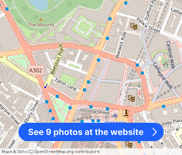 Buckingham Palace Road, Victoria, London SW1W - Photo 1