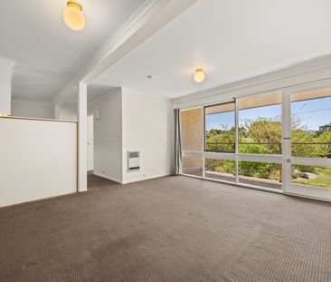 58/179 Melrose Drive, Lyons ACT 2606 - Apartment For Rent | Domain - Photo 5