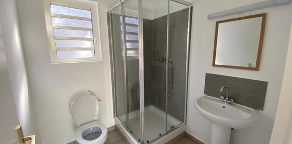 Location Appartement 1 pièce 25m² STE CLOTILDE 97490 - Photo 2