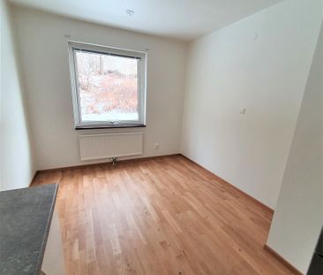 Liljebergsgatan, Borås - Foto 5