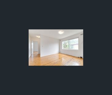 Recently Renovated One Bedroom Apartment - Photo 1