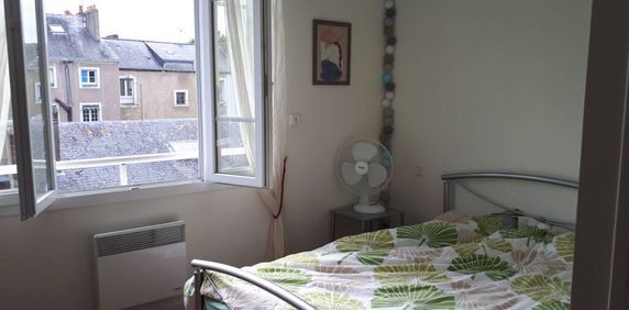 Location appartement 2 pièces 50.24 m² à Laval (53000) - Photo 2