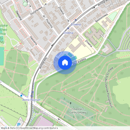 ul. z widokiem na Park Cytadela, Winogrady, Stare Miasto, Poznań, wielkopolskie