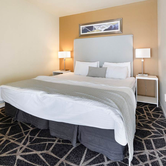 Central Auckland Apt - Modern & Furnished - Photo 1